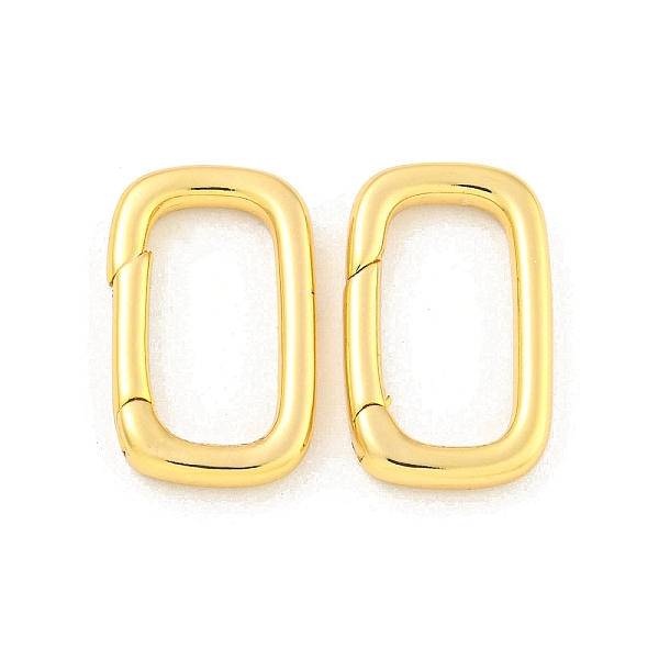 Brass Spring Gate R… - image