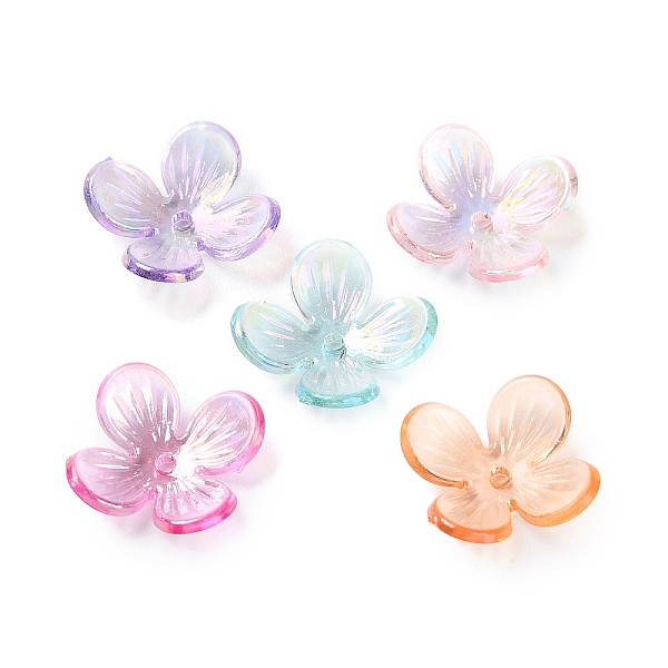 Transparent Acrylic… - image