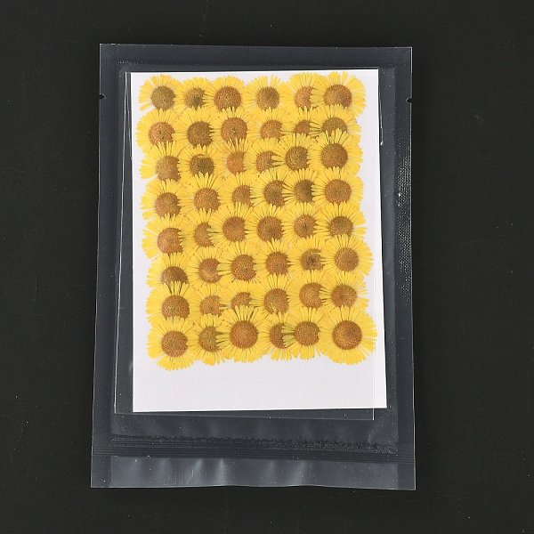 

PandaHall Centaurea Iberica Embossing Dried Flower, for Cellphone, Photo Frame, Scrapbooking DIY Handmade Craft, Gold, 13~19x17~22mm...