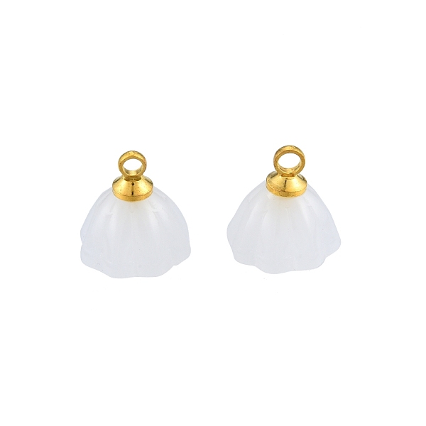 Glass Charms - image