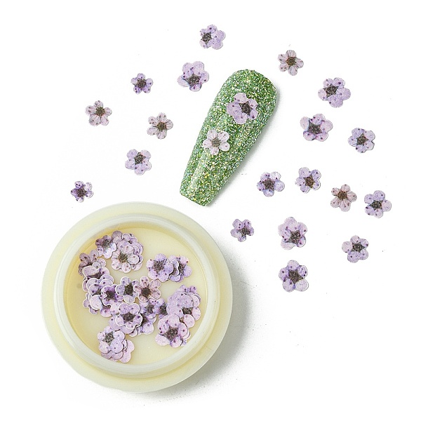 

PandaHall Paper Cabochons, Nail Art Decorations, Flower, Lilac, 5~7x5~7x0.1mm, 50pcs/box Paper Flower Purple