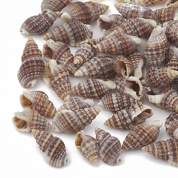 

PandaHall Sea Shell Beads, Undrilled/No Hole Beads, Rosy Brown, 9~14x6~8x4~6mm, about 227pcs/50g Other Sea Shell Shell Shape Brown