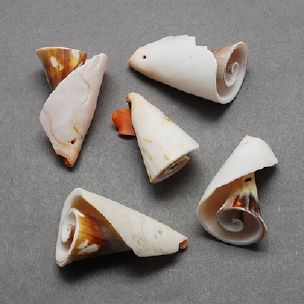 

PandaHall Spiral Shell Pendants, Shell, Chocolate, 26~55x10~30x10~30mm, Hole: 1~2mm Spiral Shell Shell Shape Brown