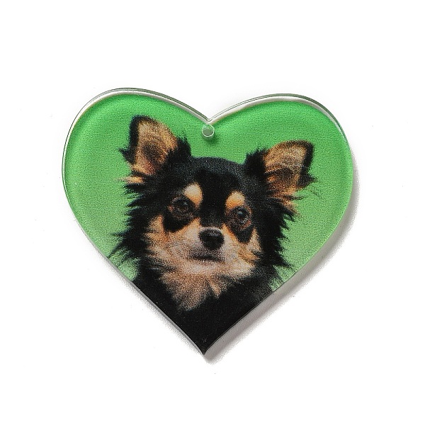 

PandaHall Opaque Acrylic Pendants, Dog, Heart, Lime Green, 37x40x2mm, Hole: 1.6mm Acrylic Heart