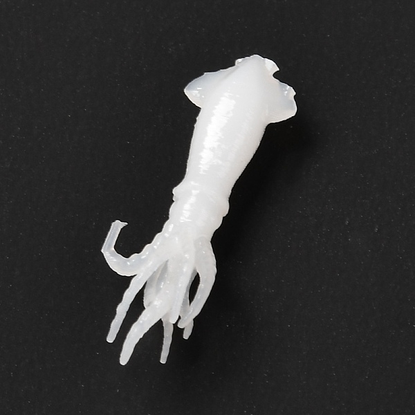 

PandaHall 3D Resin Model, UV Resin Filler, Epoxy Resin Jewelry Making, Inkfish, White, 20.5x6x3.5mm Resin Other Animal White