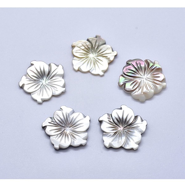 

PandaHall Shell Cabochons, Flower, 18~20x2~3mm Shell Flower