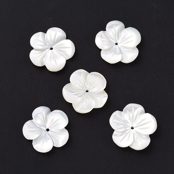 

PandaHall Natural Trochid Shell/Trochus Shell Beads, Flower, Seashell Color, 16x2mm, Hole: 0.6mm Trochus Shell Flower