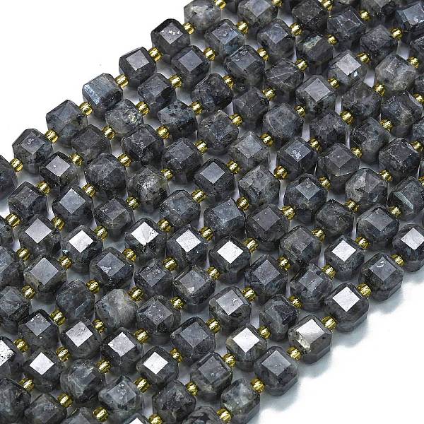 Natural Larvikite Beads Strands