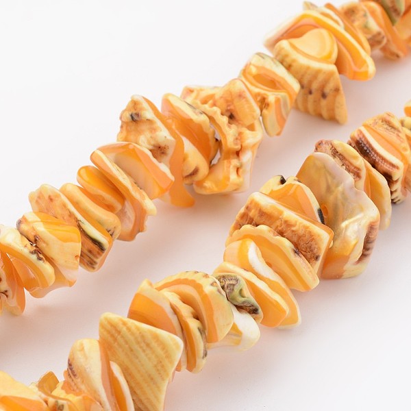 

PandaHall Natural Shell Bead Strands, Dyed, Nuggets, Orange, 10~20x8~12x3~6mm, Hole: 1mm, about 15.7 inch Other Sea Shell Nuggets Orange