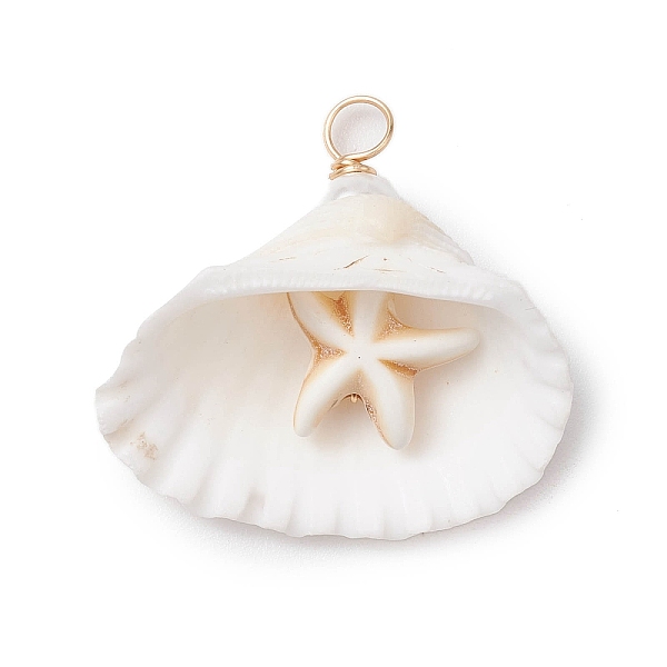 

PandaHall Dyed Synthetical Turquoise Star Pendants, Natural Shell Charms, Golden, White, 31~33x24.5~33x13~20mm, Hole: 3~4mm Synthetic...