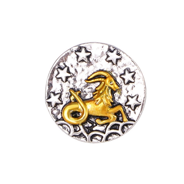 

PandaHall Constellation Alloy Pins, Round Brooch, Zodiac Sign Badge for Clothes Backpack, Capricorn, 18mm Alloy Capricorn