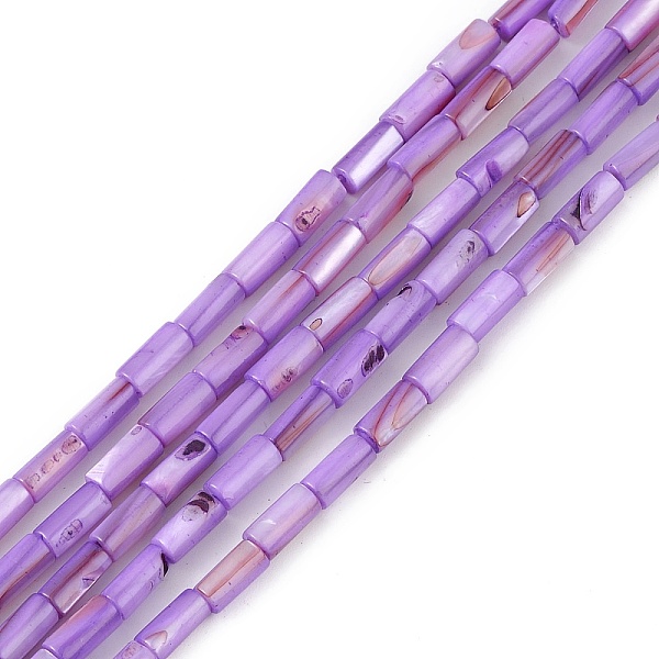 

PandaHall Natural Freshwater Shell Dyed Beads Strands, Column, Lilac, 8x4mm, Hole: 0.8mm, about 46pcs/strand, 14.96''(38cm) Freshwater Shell..., Purple