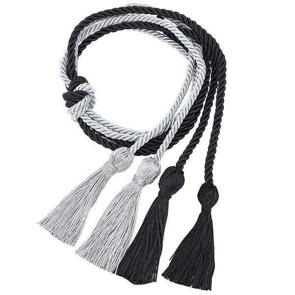 

PandaHall Gorgecraft 2Pcs 2 Style Polyester Tassel Big Pendant Decorations, for Graduation Ceremony, Mixed Color, 1630~1700x3.5~7mm..., Multicolor