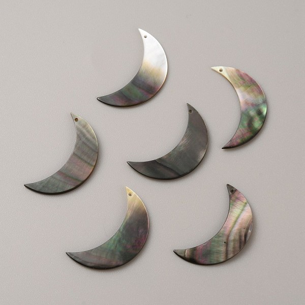 

PandaHall Natural Black Lip Shell Pendants, Moon Charm, 30x17.5x1.5~2mm, Hole: 1mm Black Lip Shell Moon
