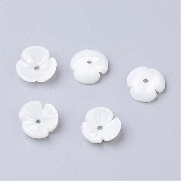 

PandaHall Natural Freshwater Shell Beads, Flower, 9~10x10x3mm, Hole: 1.5mm Freshwater Shell Flower