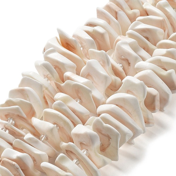 

PandaHall Natural Shell Beads Strands, Nuggets, with Seed Beads, Seashell Color, 2~10.5x10.5~30x17~25.5mm, Hole: 0.8~0.9mm, about...