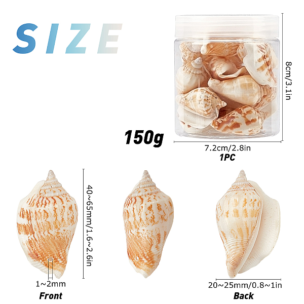 

PandaHall SUNNYCLUE Natural Conch Shell Beads, Goldenrod, 40~65x20~25mm, Hole: 1~2mm, about 150g/box Other Sea Shell Shell Shape Gold