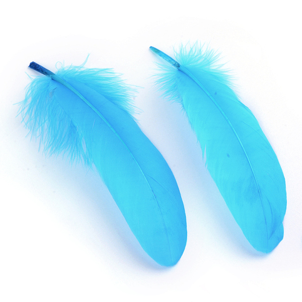Goose Feather Costu… - image