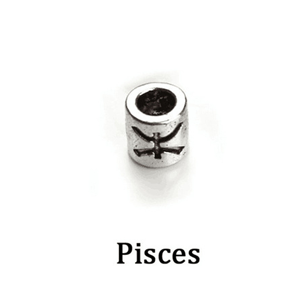 

PandaHall Antique Silver Plated Alloy European Beads, Large Hole Beads, Column with Twelve Constellations, Pisces, 7.5x7.5mm, Hole: 4mm...