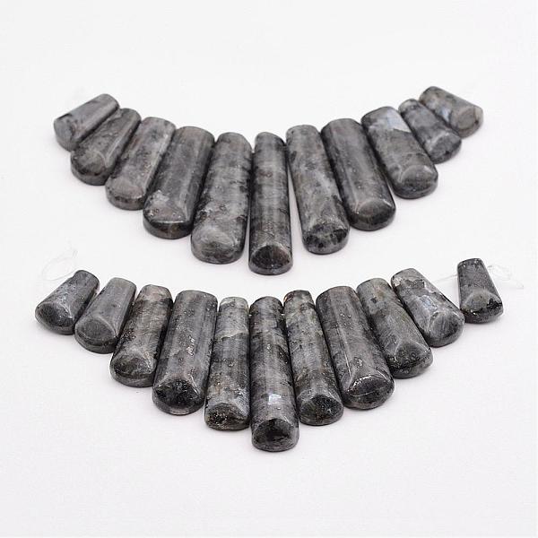 

PandaHall Natural Larvikite Beads Strands, Graduated Fan Pendants, Focal Beads, 16~39x9.5~10x5mm, Hole: 1mm, 11pcs/strand, 3.27 inch...