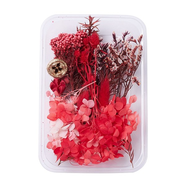PandaHall Dried Flowers, DIY Candle Soap Making Accessories, with Plastic Rectangle Box, Red, 1.5~16x1.8~5.4cm Dried Flower Red