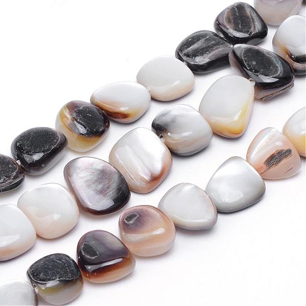 

PandaHall Natural Sea Shell Bead Strands, White, 9~13x9~14x2.5~7mm, Hole: 1mm, about 37pcs/strand, 14.96 inch Other Sea Shell Nuggets White