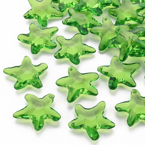 

PandaHall Transparent Acrylic Beads, Star, Green, 28.5x29.5x7.5mm, Hole: 1.8mm, about 189pcs/500g Acrylic Star Green