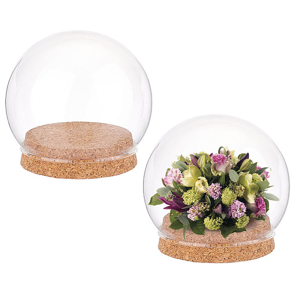

PandaHall 2 Sets Round Glass Display Dome, Mini Glass Cloche Dome Clear Glass Plant Terrarium Decor with Cork Base 3.94" in Diameter Jar...