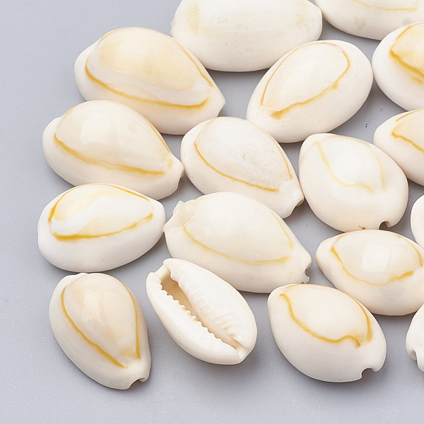 

PandaHall Natural Cowrie Shell Beads, Seashell Color, 18~23x11~15x8~12mm Cowrie Shell Shell Shape