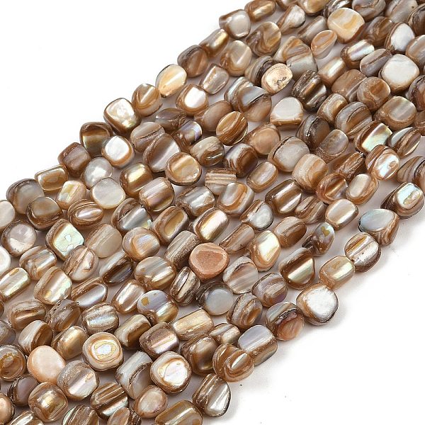 Natural Trochus She… - image