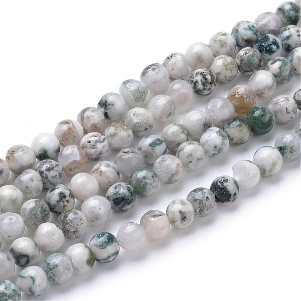 

PandaHall Natural Tree Agate Bead Strands, Round, 6mm, Hole: 1mm, about 70pcs/strand, 15.7 inch Tree Agate Round