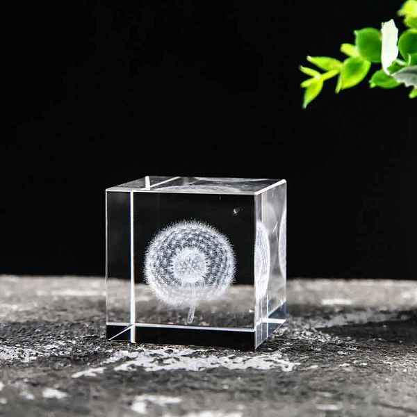 PandaHall Glass Cube Display Decorations, for Home Desktop Decoration, Dandelion, 40x40mm Glass Flower