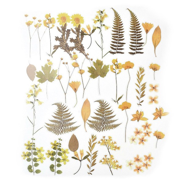 

PandaHall 40Pcs Plant PET Adhesive Waterproof Stickers, Flower Leaf Decals, for DIY Photo Album Diary Scrapbook Decoration, Orange...