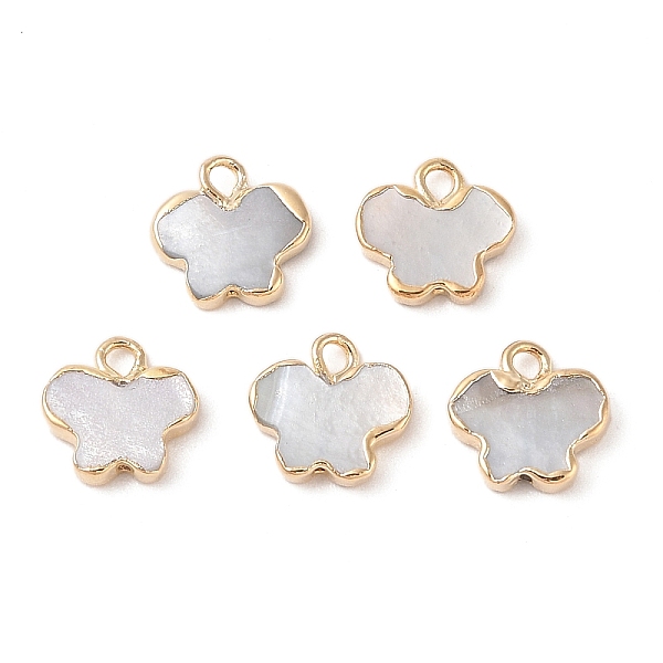 

PandaHall Natural Black Lip Shell Butterfly Charms, with Brass Edge, Golden, 10.5x11x2mm, Hole: 1.8mm Black Lip Shell Butterfly