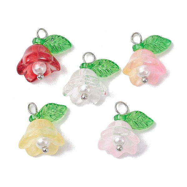 

PandaHall Mixed Color Glass Pearl & Acrylic Charms, Lily Flower, Platinum, 14x13x10mm, Hole: 2mm Glass Flower Multicolor