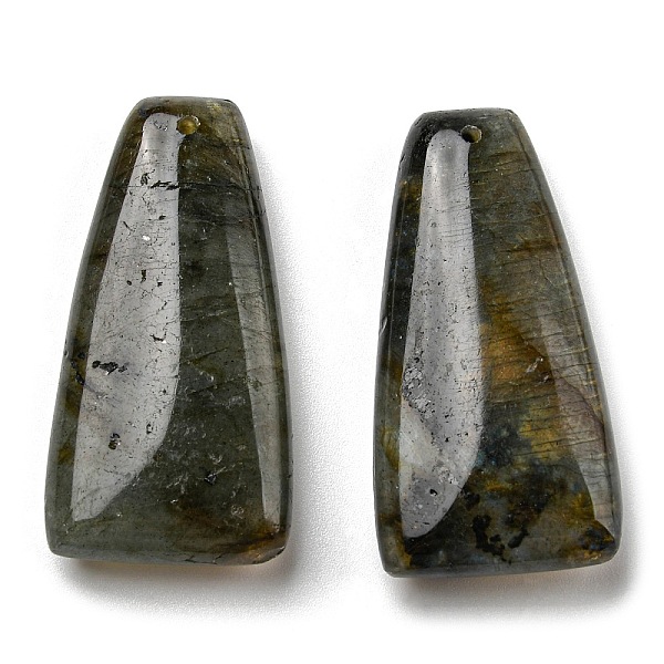 

PandaHall Natural Labradorite Pendants, Trapezoid Charms, 40.5x20.5x8.5~9mm, Hole: 1.2mm Labradorite Trapezoid