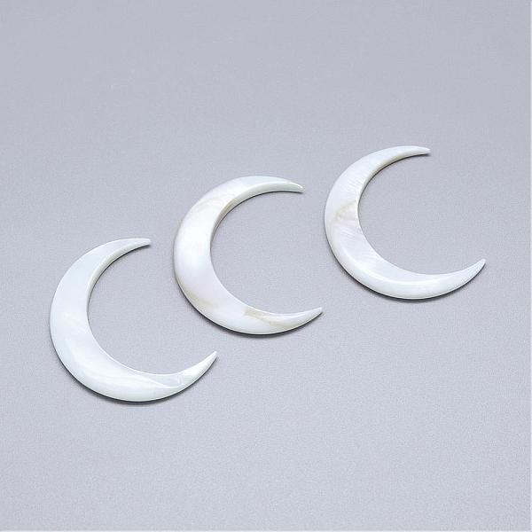 

PandaHall Natural Freshwater Shell Beads, No Hole, Moon, Antique White, 34~35x25~28x3~3.5mm Freshwater Shell Moon Orange