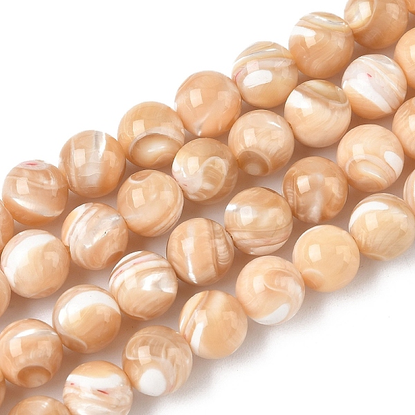 Natural Sea Shell R… - image